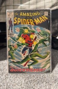 The Amazing Spider-Man #71  (1969) Spider-Man 