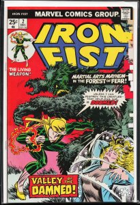 Iron Fist #2 (1975) Iron Fist