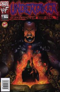 Undertaker Holiday Special #1 VF/NM; Chaos | save on shipping - details inside