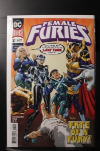 Female Furies #2 (2019)
