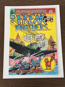 The Fabulous Furry Freak Brothers #6 (1980)