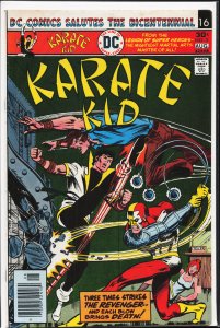 Karate Kid #3 (1976) Karate Kid