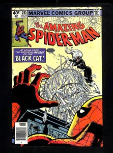 Amazing Spider-Man #205 Black Cat!