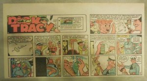 Dick Tracy Sunday Page by Chester Gould from 6/3/1973 Third Page Size