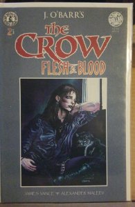 The Crow: Flesh and Blood #2 (1996)