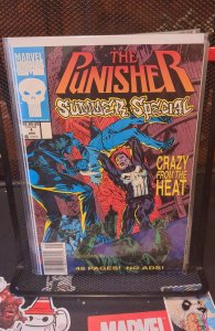 The Punisher Summer Special #1 (1991)