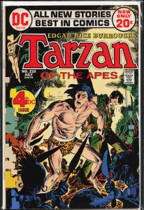 Edgar Rice Burroughs' Tarzan #210 (1972)