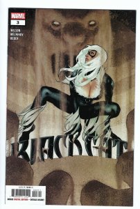 Black Cat #3 (2025) Adam Hughes Main Cover NM
