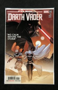 Star Wars: Darth Vader #25 (2022)