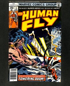 Human Fly #5