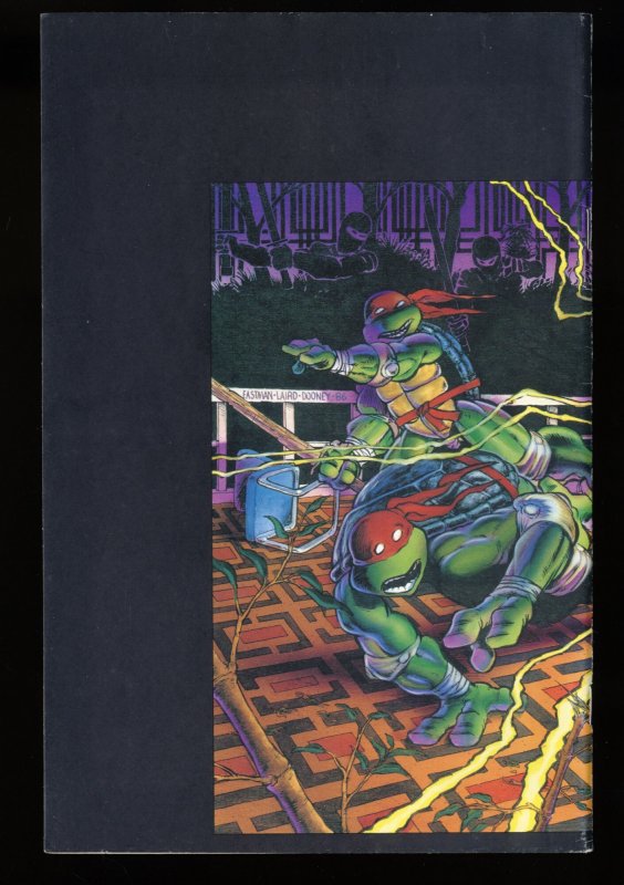 Teenage Mutant Ninja Turtles #9 VF+ 8.5