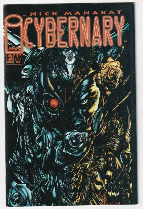 DeathBlow #2 Cybernary #2 August 1993 Image