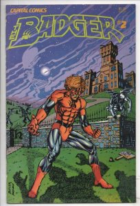 BADGER #2, VF/NM, Martial Arts, Crazy, Mike Baron, 1983, more in store