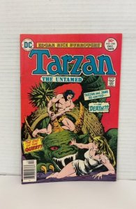 Edgar Rice Burroughs' Tarzan #256 (1976)
