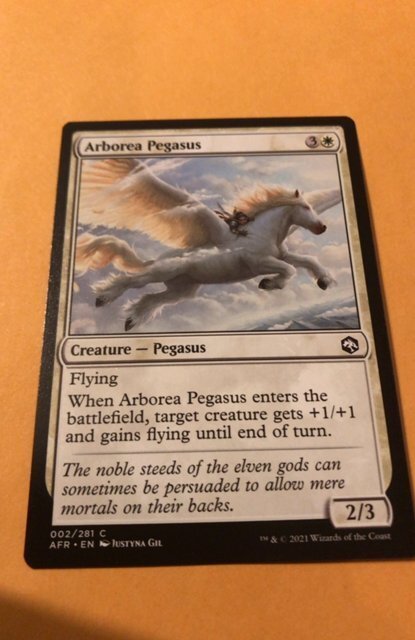 ARBOREA PEGASUS : Magic the Gathering MtG card / Adventures in Forgotten  Realms | Comic Collectibles - Trading Cards - Magic the Gathering