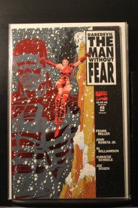 Daredevil: The Man Without Fear #2 (1993)