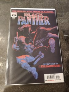Black Panther #17 (2019)