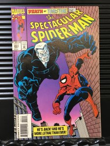 The Spectacular Spider-Man #204 (1993)