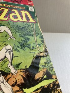Tarzan #244 DC