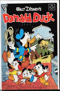 Donald Duck #252 (1987)