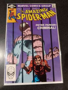 THE AMAZING SPIDER-MAN #219