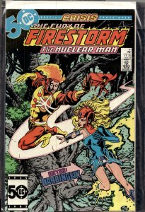 The Fury of Firestorm #41 (1985) Firestorm