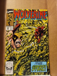 Wolverine #22 (1990) abc