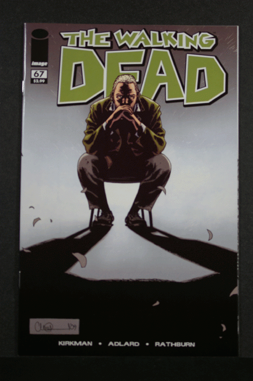 The Walking Dead #67