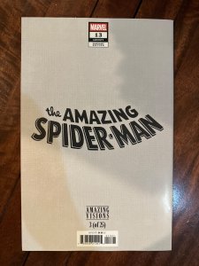 Amazing Spider-Man #13 (2025)