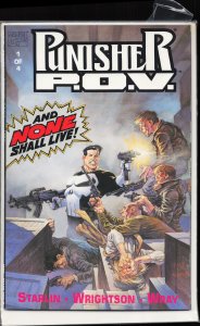 The Punisher: P.O.V. #1 (1991) Punisher