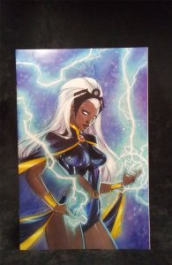 Storm #1 Rich Virgin Cover 2023 Marvel Comics Comic Book