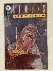 ALIENS : LABYRINTH - Complete Four (4) Issue Mini Series Lot - #1, #2, #3, & #4