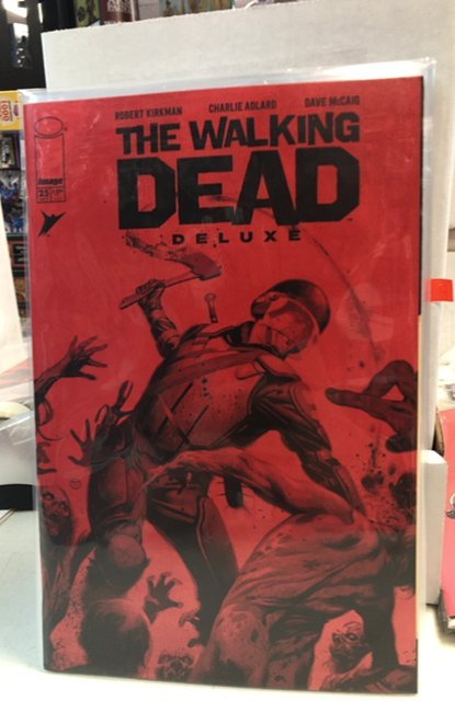 The Walking Dead Deluxe #25 Cover D (2021)