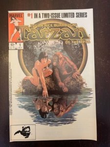 Tarzan of the Apes #1 (1984) - NM