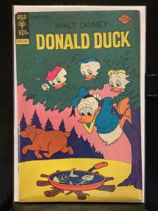 Donald Duck #173 (1976)