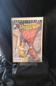 The Amazing Spider-Man #31 (2001)  