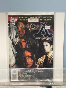 X-Files Special Edition #3 Second Print Cover (1996)