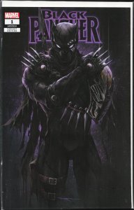 Black Panther #1 Tao Cover (2023)