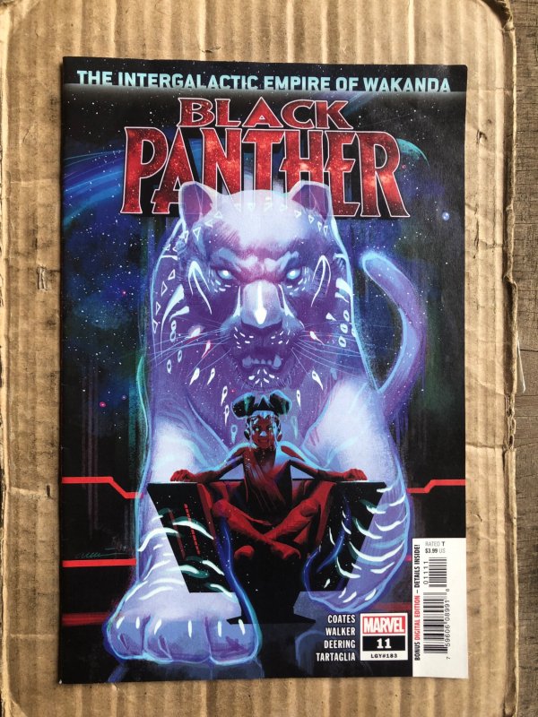Black Panther #11 (2019)