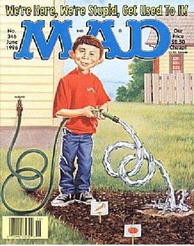 Mad (1952 series) #346, NM (Stock photo)