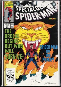 The Spectacular Spider-Man #171 (1990) Spider-Man