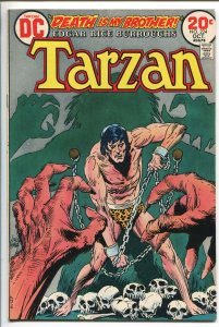 TARZAN #224 1973-DC-EDGAR RICE BURROUGHS-JOE KUBERT JUNGLE ART-SKULL-vf minus