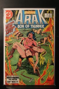 Arak, Son of Thunder #30 (1984)