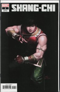 Shang-Chi #1 Lee Cover (2020) Master of Kung Fu / Shang-Chi
