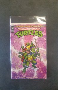 Teenage Mutant Ninja Turtles: Saturday Morning Adventures #9 (2024)