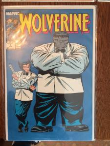 Wolverine lot