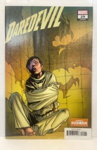 Daredevil #29 Pacheco Cover (2021)