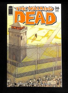 Walking Dead #36