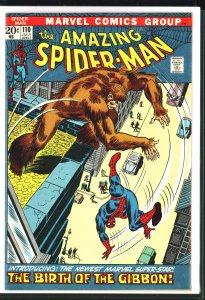 The Amazing Spider-Man #110 (1972)