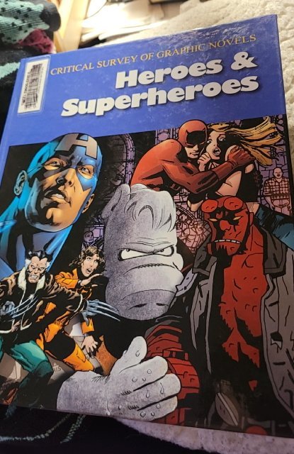 critical survey graphic novels superheros
